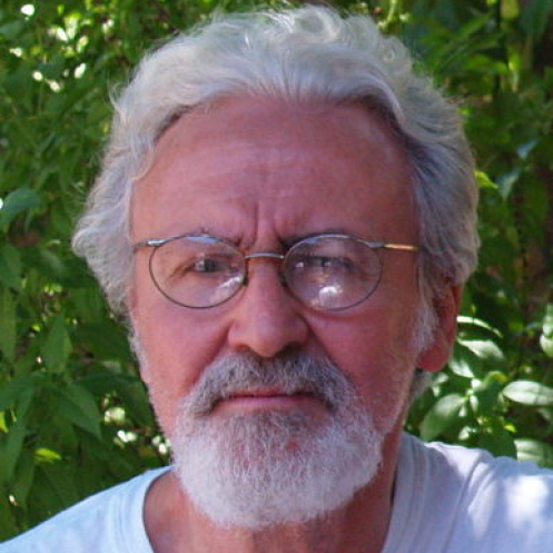 Palestrante - Carlos Afonso